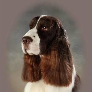 Meet your Posher, Pamela